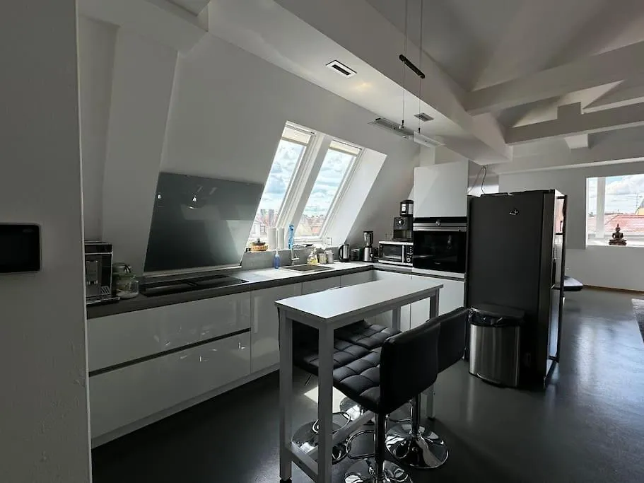 6 Zimmer Maisonette-Penthouse Pool Dachterrasse Luxus 뮌헨 아파트